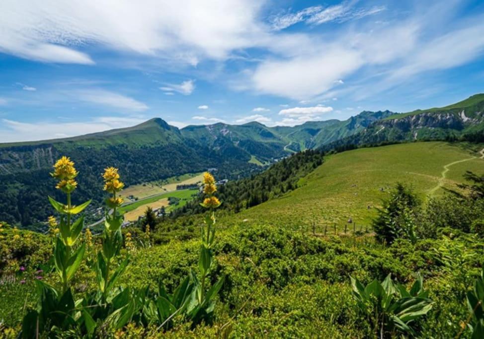 Appt Lumineux, Thermes Et Montagne Ла-Бурбуль Экстерьер фото